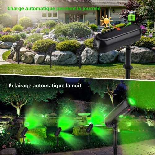 Vue 2 du produit