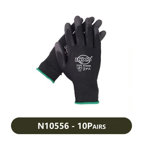N10556 - 10Pairs