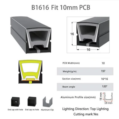 B1616