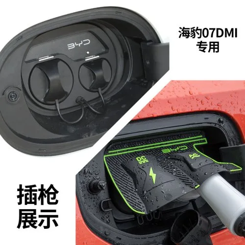 Do BYD Seal 07DMI