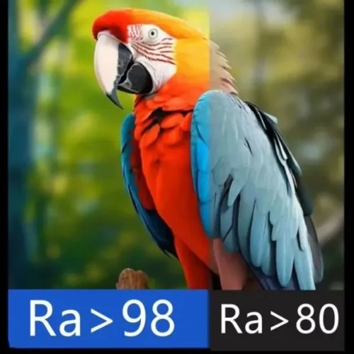 Vue 4 du produit
