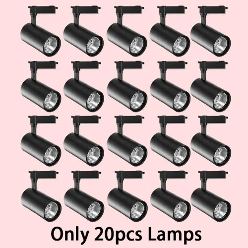 Alleen 20 lampen