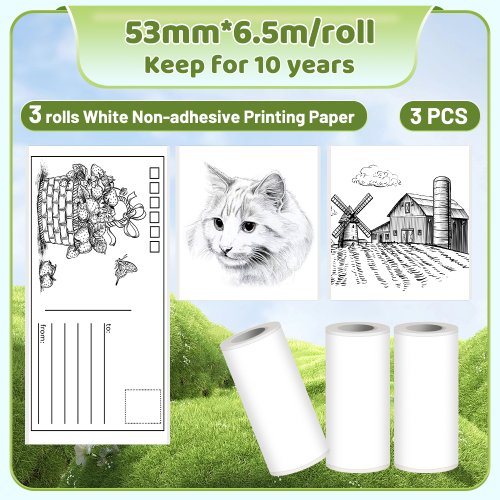 Afbeelding van Phomemo T02 Thermisch printerpapier Thermische sticker BPA-vrij voor dagboek Foto Foto Teksten Studie Notities Takenlijst 3 rollen/doos