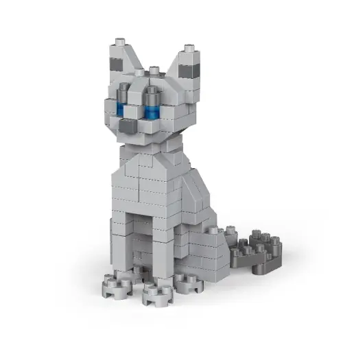 Blau katze