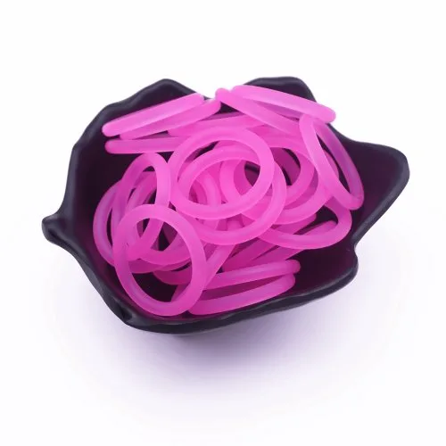 Rosa rosa