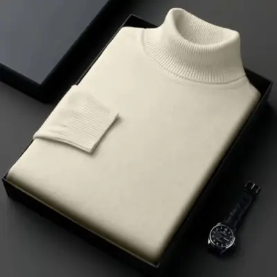 Image de Pull Homme Col Roulé Coupe Cintrée