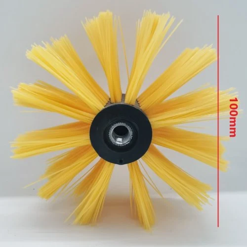 Giallo spazzola testa