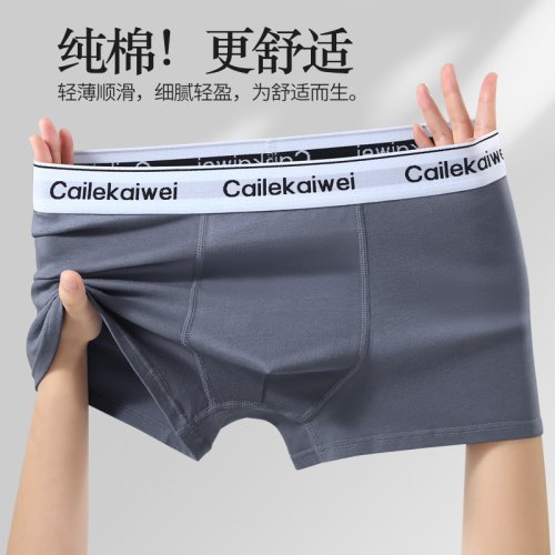 Afbeelding van Ondergoed Man 2025, puur katoen, antibacteriële broek met platte pijpen, ademende vierhoekige tailleband, losse herenboxershorts, kleding
