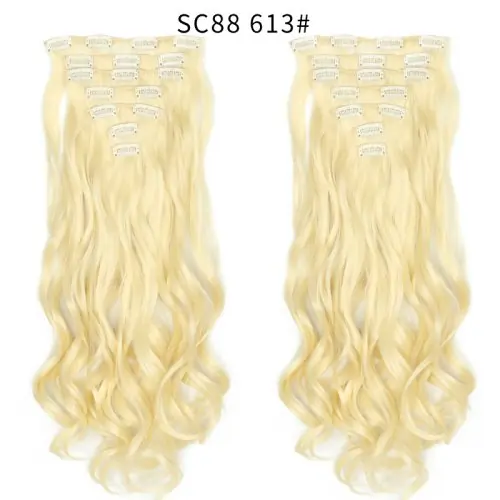 SC88 613