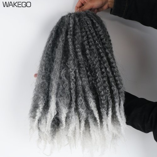 1B grijze kleur