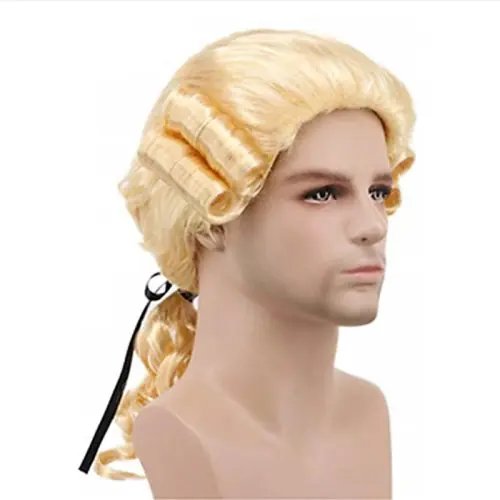 Image de Perruque Grise Longue & Bouclée pour Cosplay Avocat