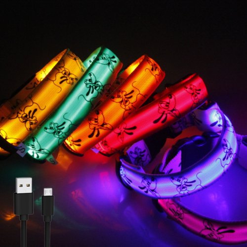 Zdjęcie Świecąca obroża LED dla psa – bezpieczna nocna ochrona