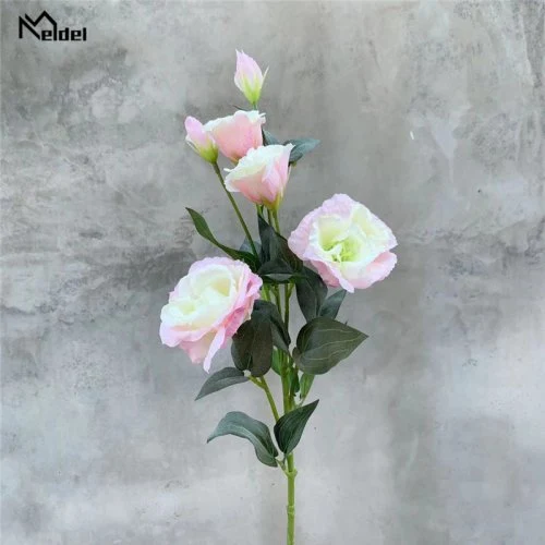Rosa verde
