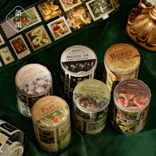 Vue 5 du produit
