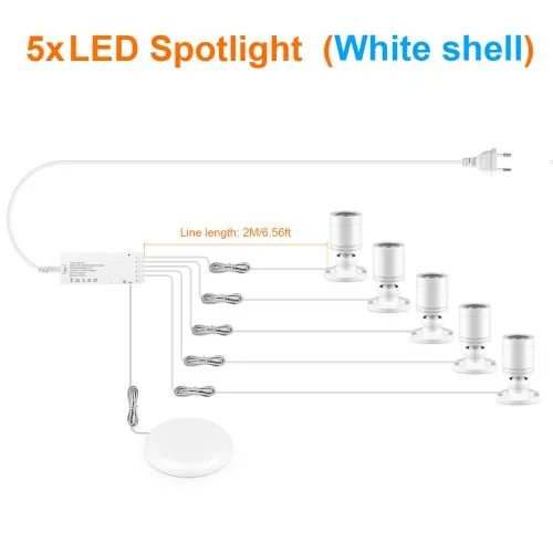 5xSpotlight wit