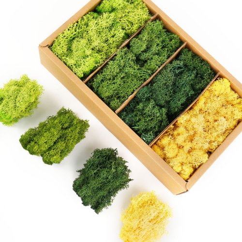 Immagine di Piante Artificiali Verdi con Muschio e Erba Finta – Decorazione Naturale per Interni ed Esterni, Mini Paesaggio Artigianale per Giardino e Casa, 1000g