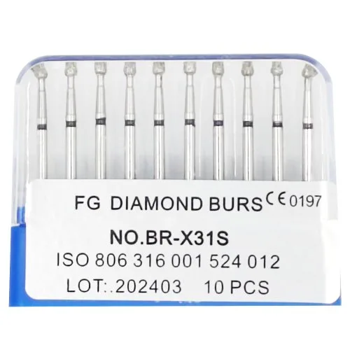 BR-X31S