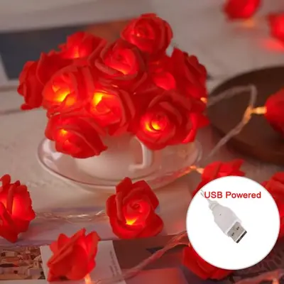 Image de Lumières LED Fées Rose Rouge Bleu - Décoration Mariage Noël
