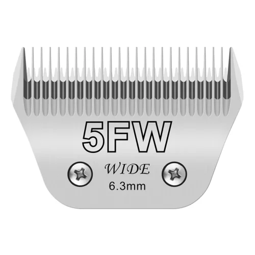 5FW