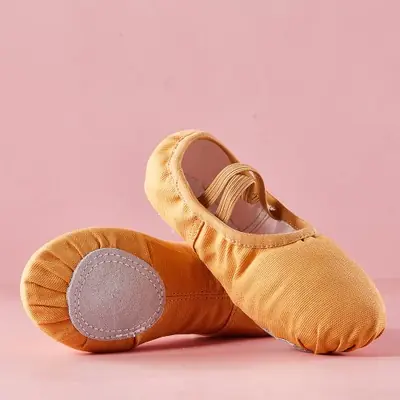 Image de Pantoufles de Ballet Enfants & Adultes - Semelle Souple Sans Lacets