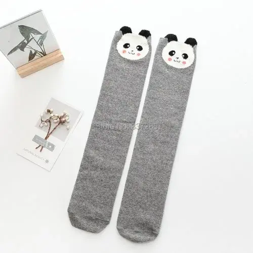 Grey little bear