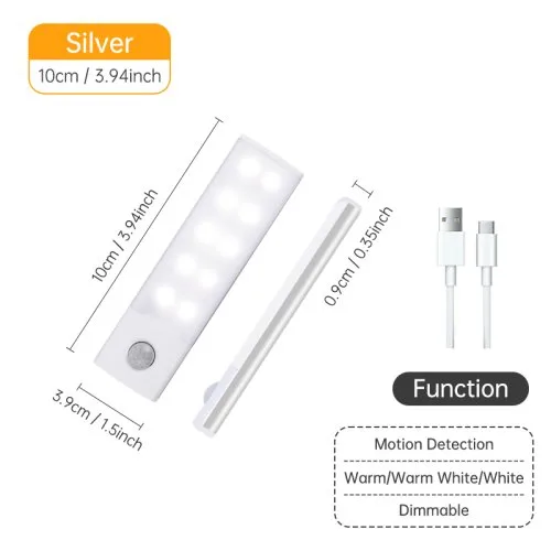 Silber 10CM