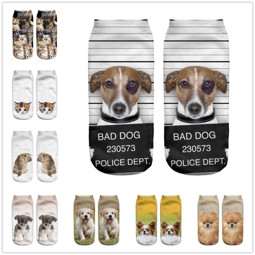Image de Chaussettes Courtes Imprimé Chien Mignon - Style Tendance