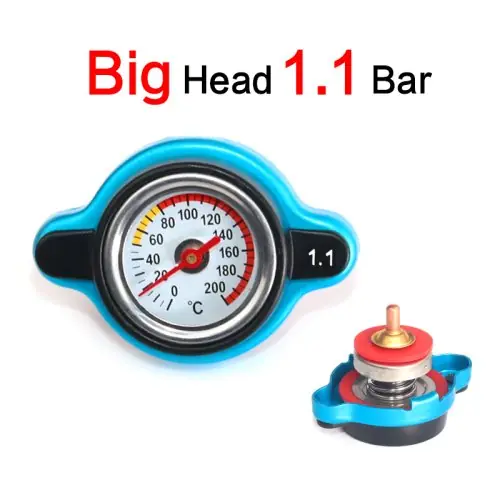 Grand tête 1.1