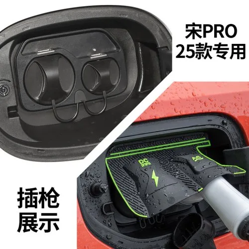 Do Song PRO 25