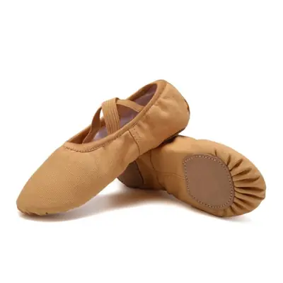 Image de Chaussures de Danse en Toile - Confort & Élégance pour Tous
