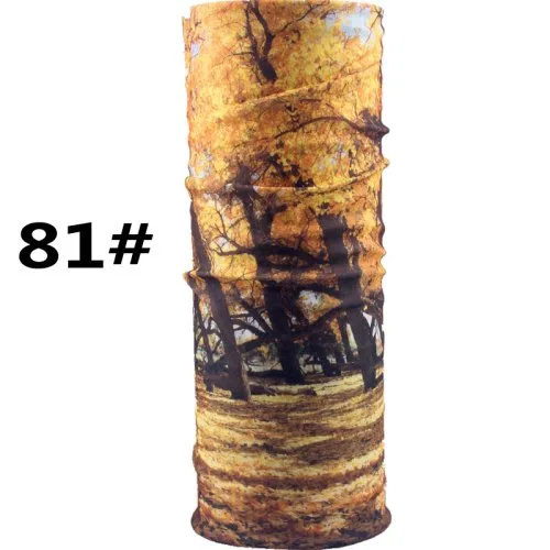 WL81
