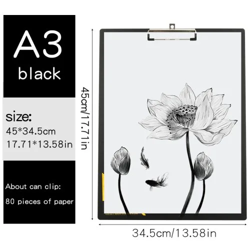A3