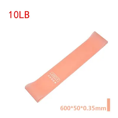 Image de Bande de Résistance Portable 10-40lb - Équipement Fitness Complet