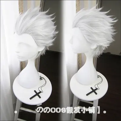 Image de Perruque Cosplay Grise Argentée Courte & Lisse