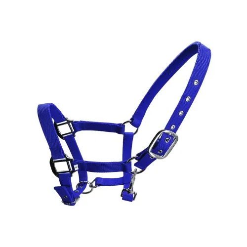 Blue XS