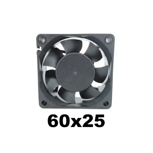 6025