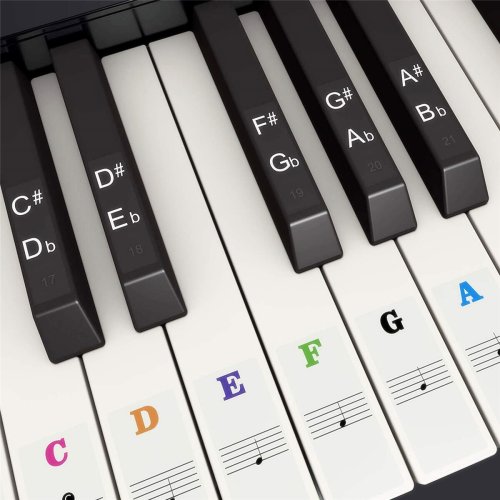 Afbeelding van Piano Keyboard Stickers Voor 37 49 54 61 88 Witte En Zwarte Toetsen Muziek Elektronische Piano Keyboard Note Stickers