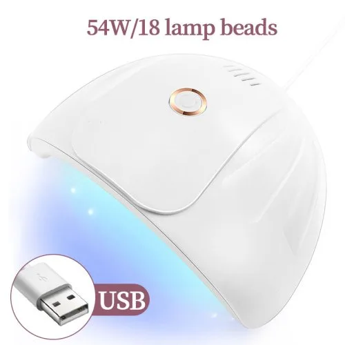 C-wit