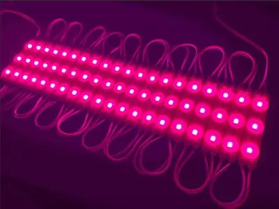 Image de Module LED 2835 Étanche - Éclairage Rétro pour Boutique & Publicité