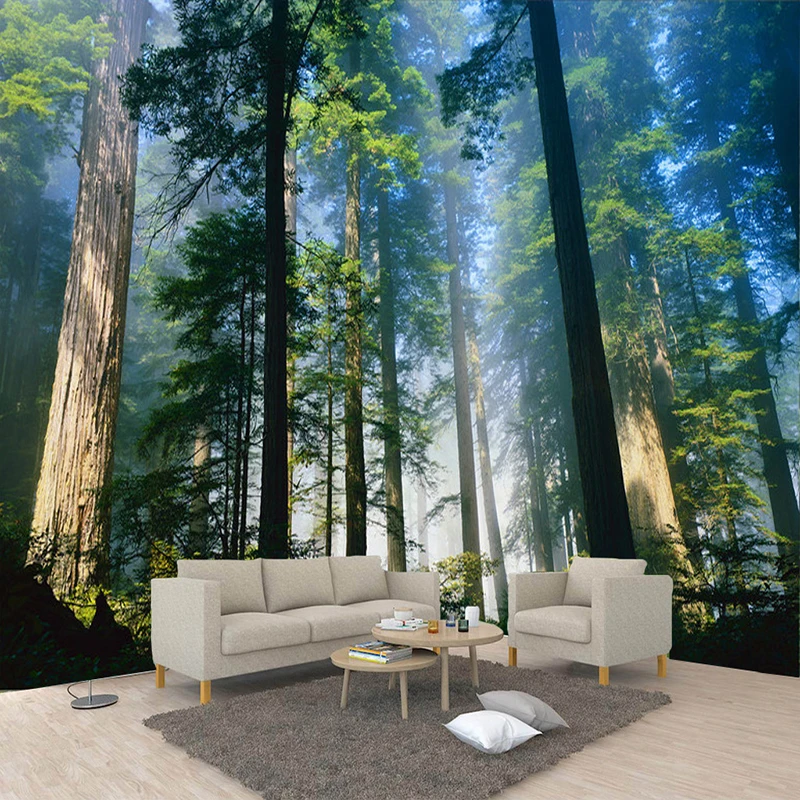 Bild von 3D Wandbild Natur – Nebeliger Wald mit Sonnenschein