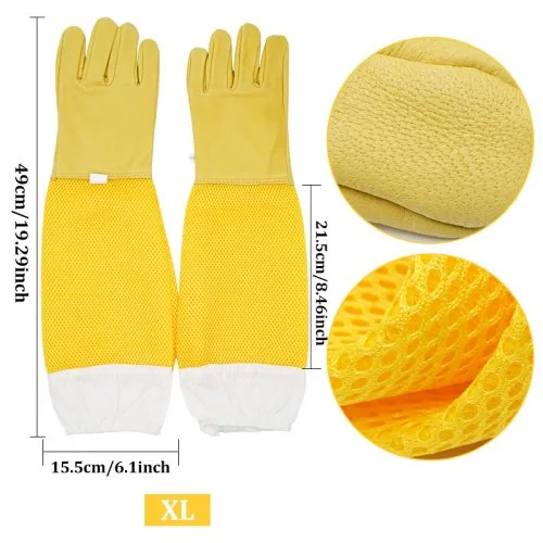XL