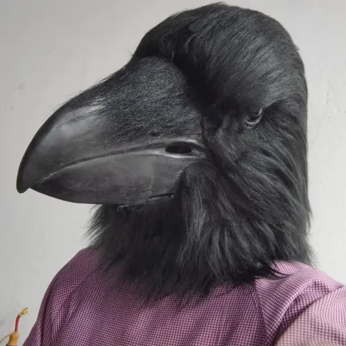 Image de Masque Corbeau Noir en Latex - Réaliste et Effrayant