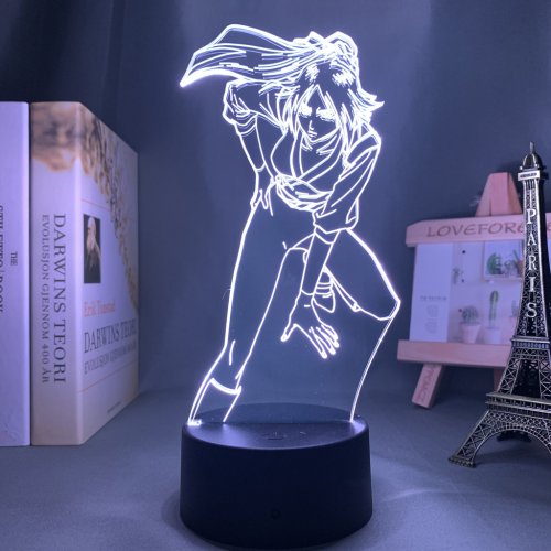 Vue 27 du produit