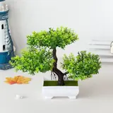 Vue 2 du produit