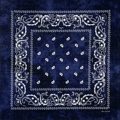Image de Bandana Unisexe Noir Paisley - Style Hip Hop & Sport