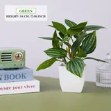 Vue 20 du produit