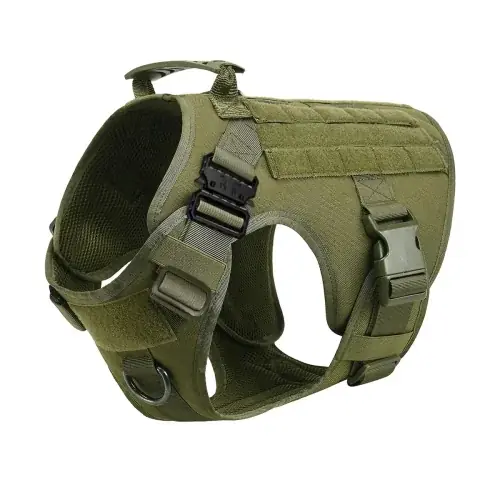 Image de Collier de Dressage Militaire pour Chiens Moyens et Grands