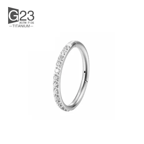 Image de Piercings en Titane - 10 pcs pour Oreille, Cartilage, Tragus & Septum