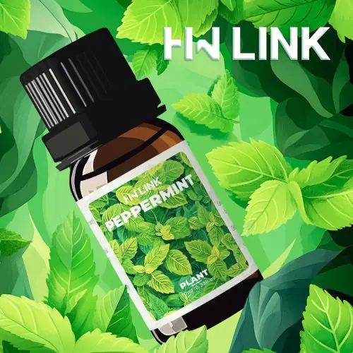 Image de Huiles Essentielles Naturelles - 16 Types 10ml