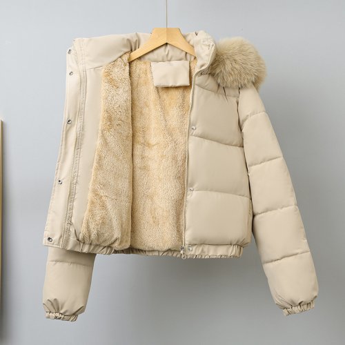 Immagine di Parka Invernale Corto per Donna in Cotone Imbottito con Velluto, Collo in Pelliccia e Cappuccio Rimovibile – Giacca Calda e Stile Moderno